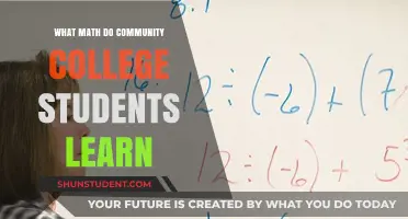 Exploring Mathematics Fundamentals in Community College Settings