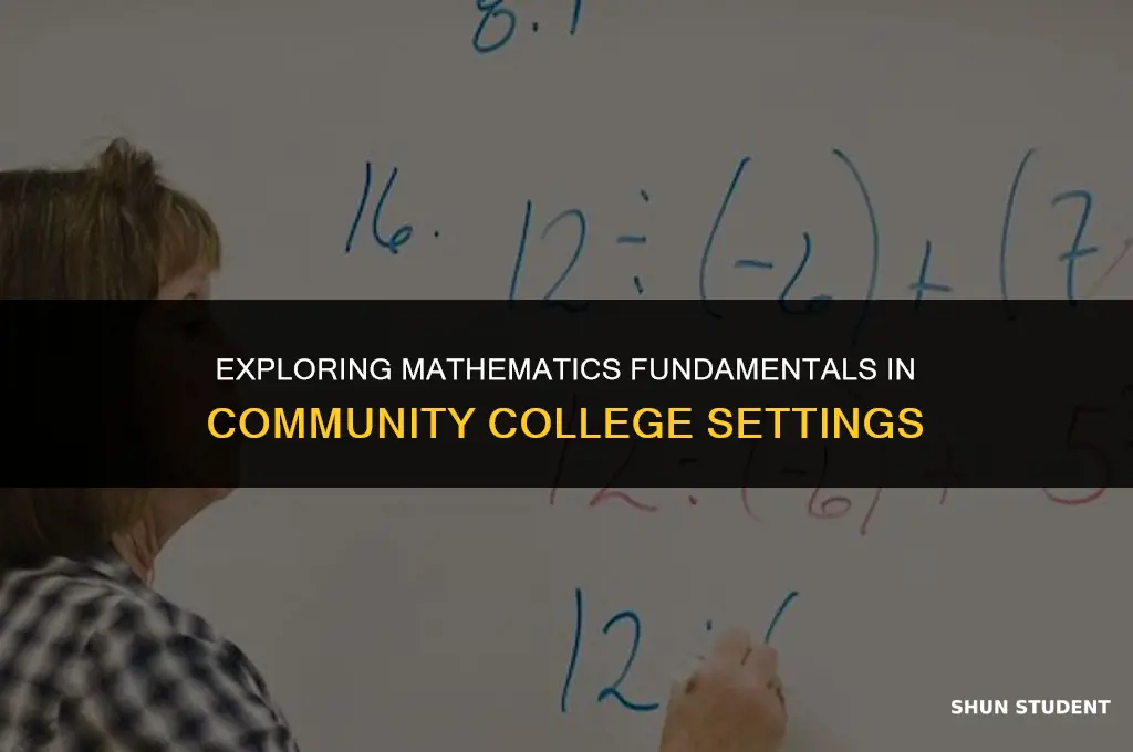 what math do community college students learn