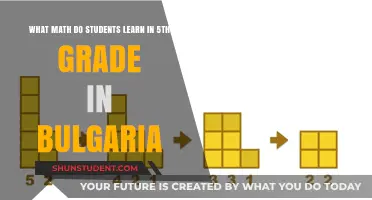 Exploring Bulgarian 5th Grade Math Curriculum: A Comprehensive Guide
