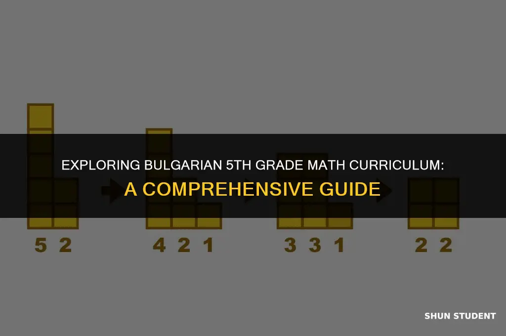 what math do students learn in 5th grade in bulgaria