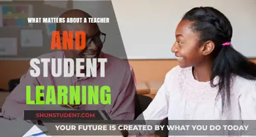 Building Connections: The Heart of Effective Teacher-Student Learning