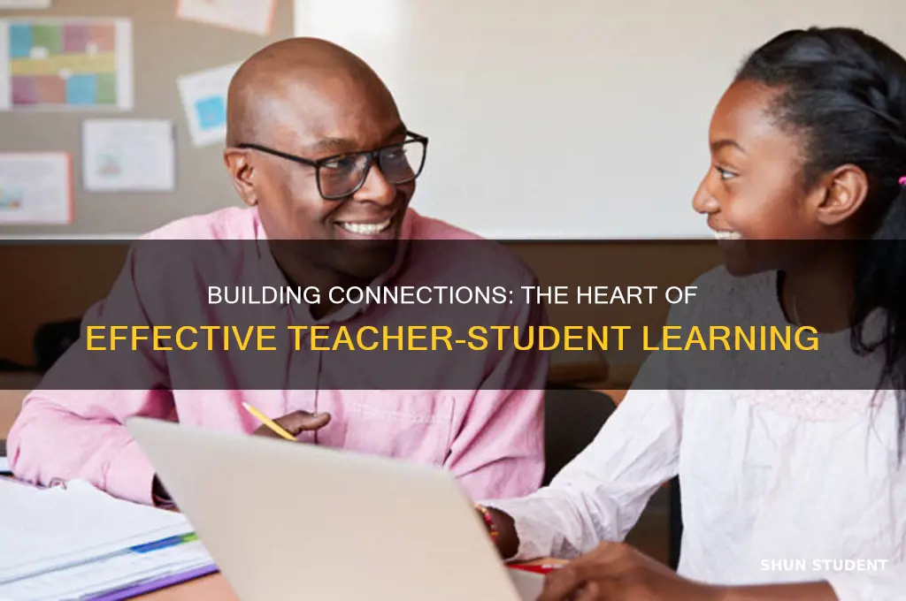 what matters about a teacher and student learning