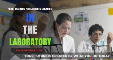 Exploring the Essentials: What Truly Matters for Student Learning in the Laboratory