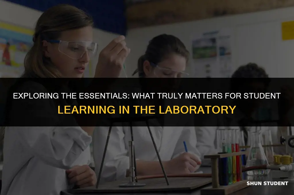 what matters for students learning in the laboratory