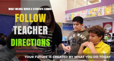 Why Students Struggle to Follow Teacher Directions: Understanding the Challenges