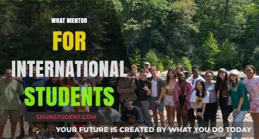Mentorship Programs: A Guide for International Students