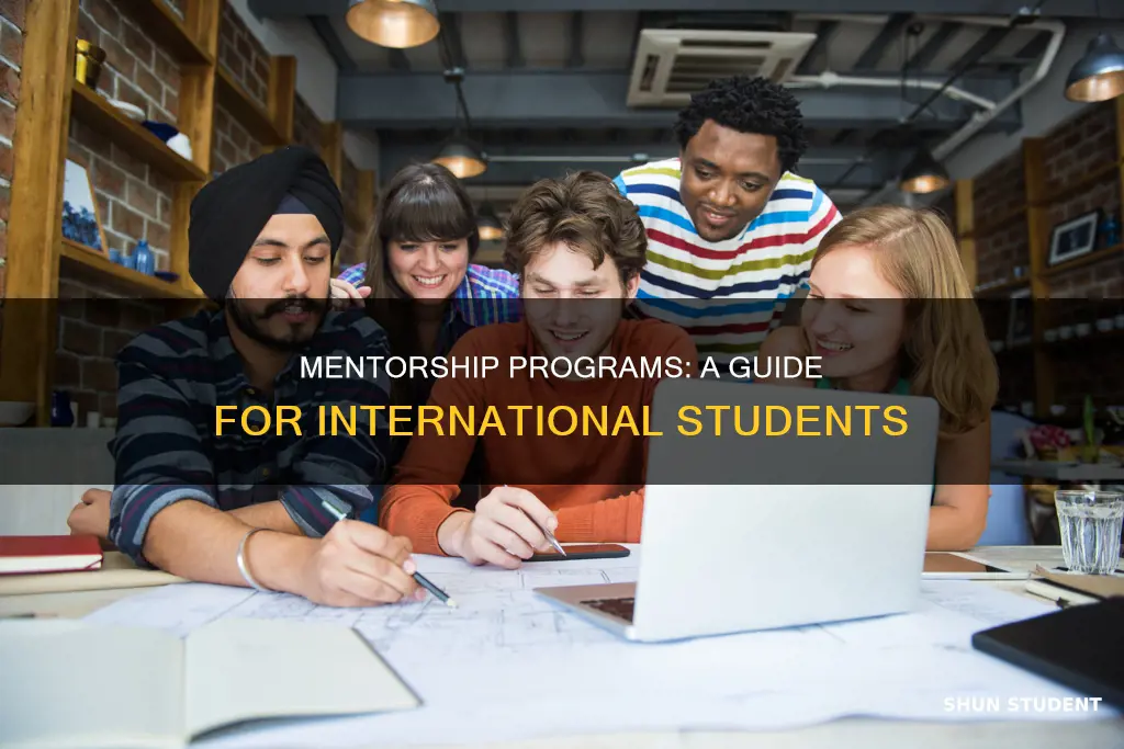 what mentor for international students
