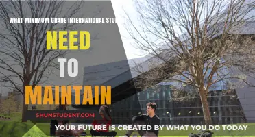 International Students: Maintaining Grades for Success