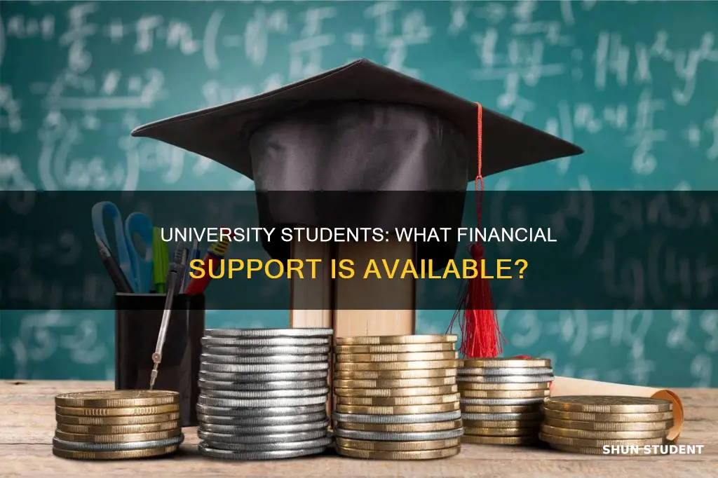 what money do university students get