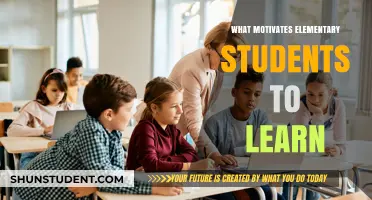 Unlocking Curiosity: What Drives Elementary Students to Learn?
