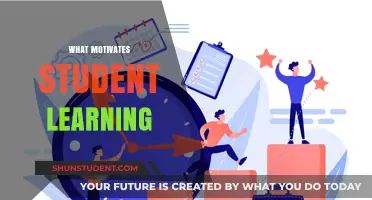 Exploring the Driving Forces Behind Student Motivation and Learning