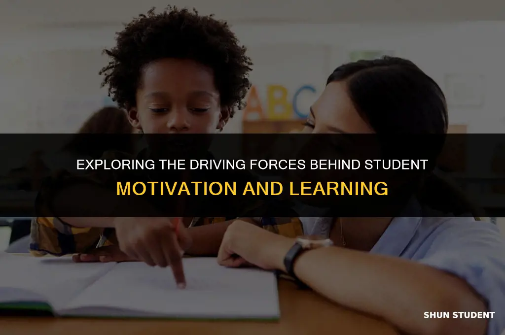 what motivates student learning