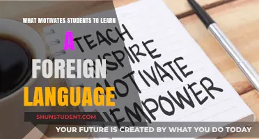 Unlocking the World: What Drives Students to Learn Foreign Languages