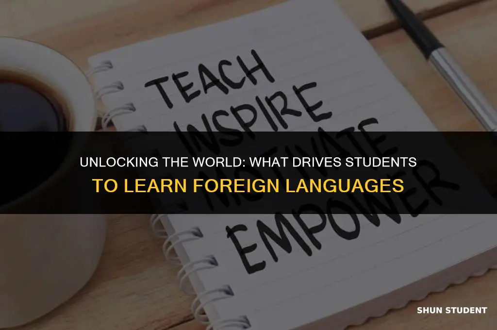 what motivates students to learn a foreign language