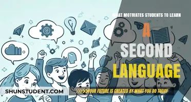 Unlocking the Drive: What Motivates Students to Learn a Second Language