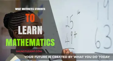 Unlocking the Secrets: What Drives Students to Embrace Mathematics