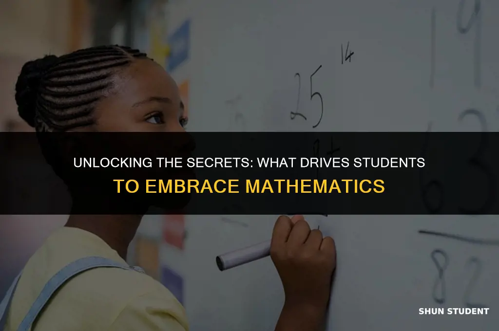 what motivates students to learn mathematics