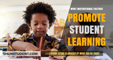 Unlocking Potential: Key Motivators That Drive Student Success