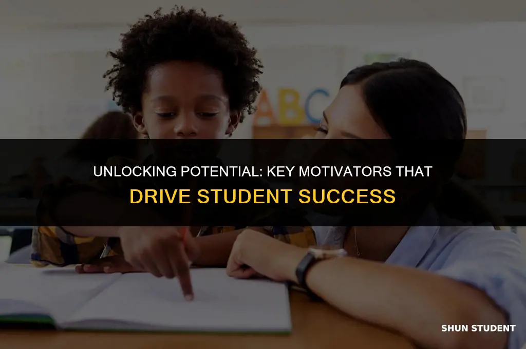 what motivational factors promote student learning