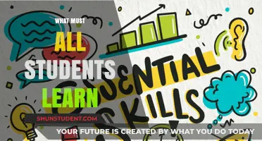 Essential Skills for Every Student: A Comprehensive Guide