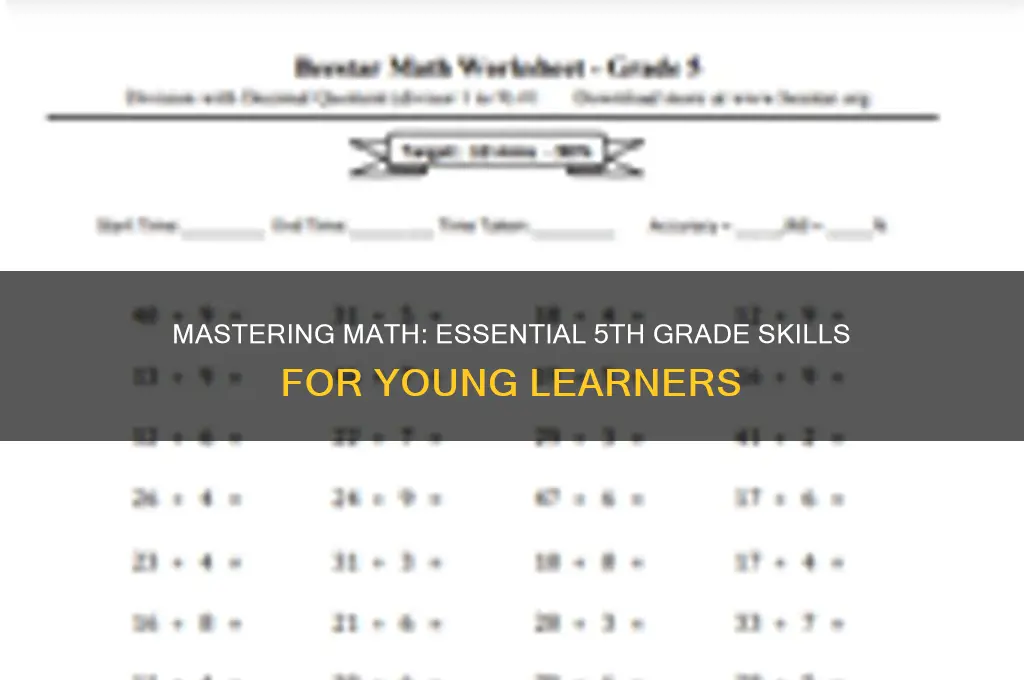 what new math skills will students learn in 5th grade