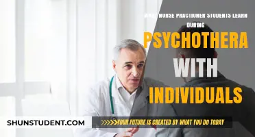 Exploring Psychotherapy: Key Lessons for Nurse Practitioner Students