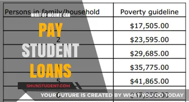 Student Loan Strategies: Maximizing Income to Minimize Debt