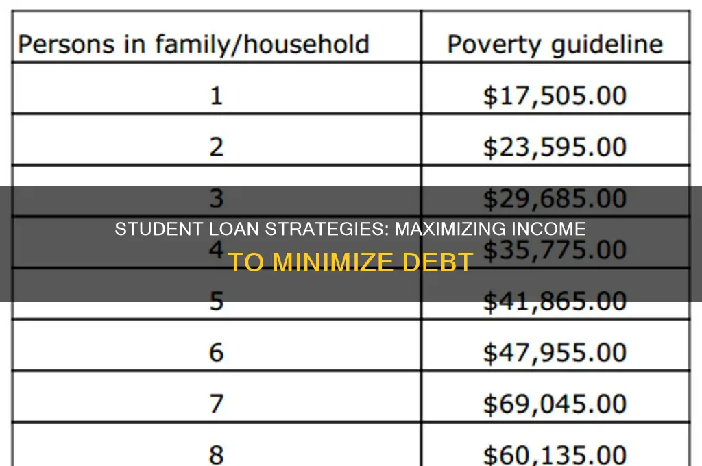 what of income can pay student loans