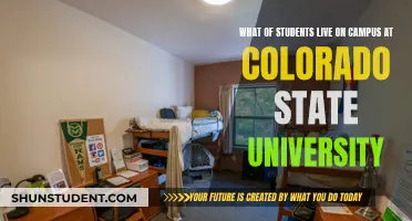 CSU's Campus Life: A Look at On-Campus Housing and Student Experience