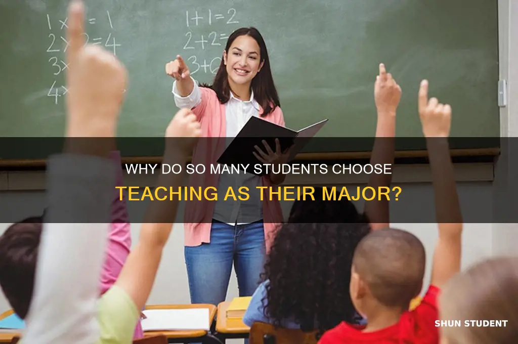 what of students major in teaching