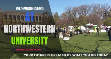 Northwestern University Students React: Offending Incident Unveiled