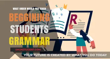 Mastering Grammar: A Structured Approach for Beginning Students