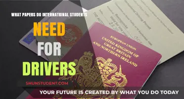 International Student Driver's License: Required Paperwork