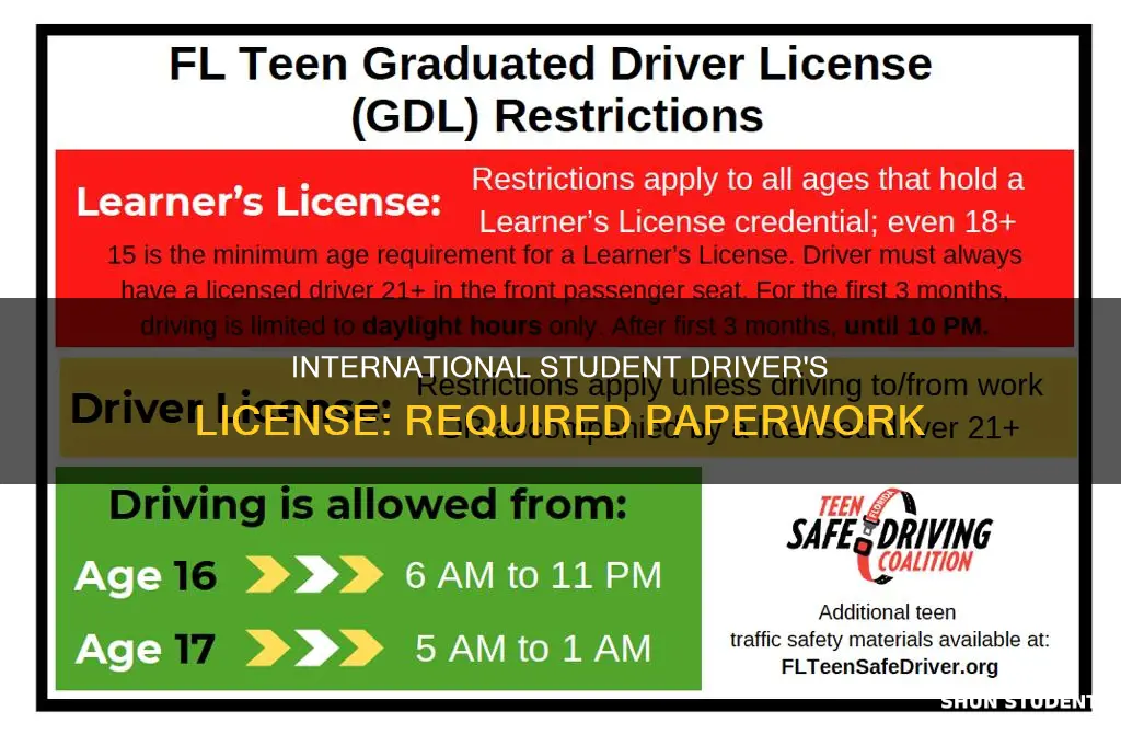 what papers do international students need for drivers