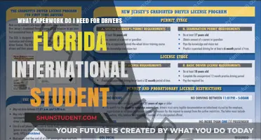 International Student Driver: Florida Paperwork Requirements
