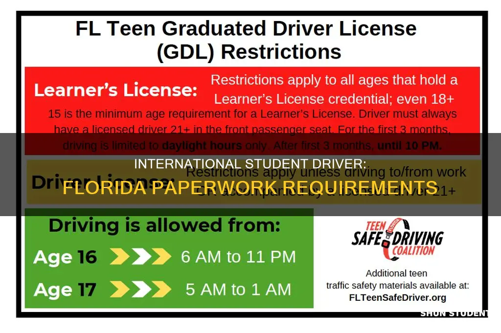 what paperwork do i need for drivers florida international student