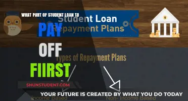 Paying Off Student Loans: Where to Start?