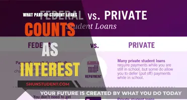 Understanding Student Loan Interest: What Counts and Why It Matters