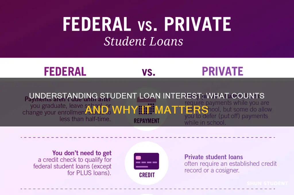 what part of student loans counts as interest