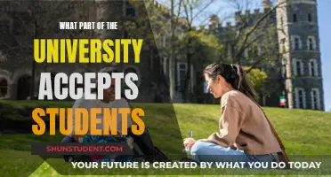 The University's Selection Process: Who Gets In?