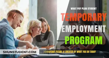 Best Pay Plans for Student Temporary Employment