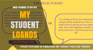 Student Loan Strategies: Which Payments to Prioritize
