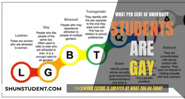 Unveiling the Hidden Majority: Gay Students in Universities