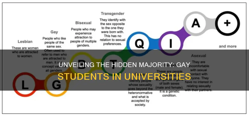 what per cent of university students are gay