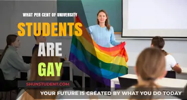 Exploring LGBTQ+ Representation in University Student Populations