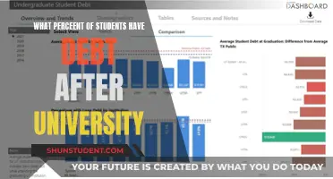 The Surprising Debt Statistics: How Many Students Are in Debt After University?