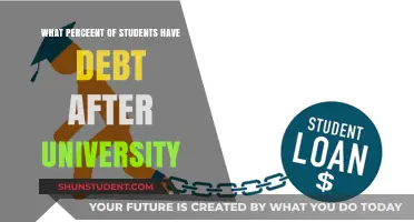 Students and Debt: A Post-University Crisis