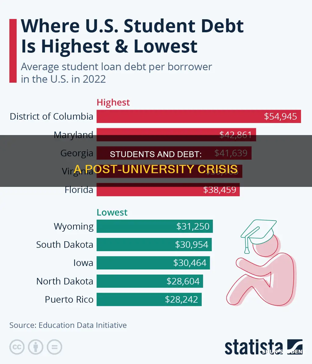 what perceent of students have debt after university