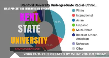 International Students at Kent State University: What's the Percentage?