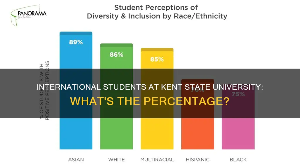 what percent are international students at kent state university